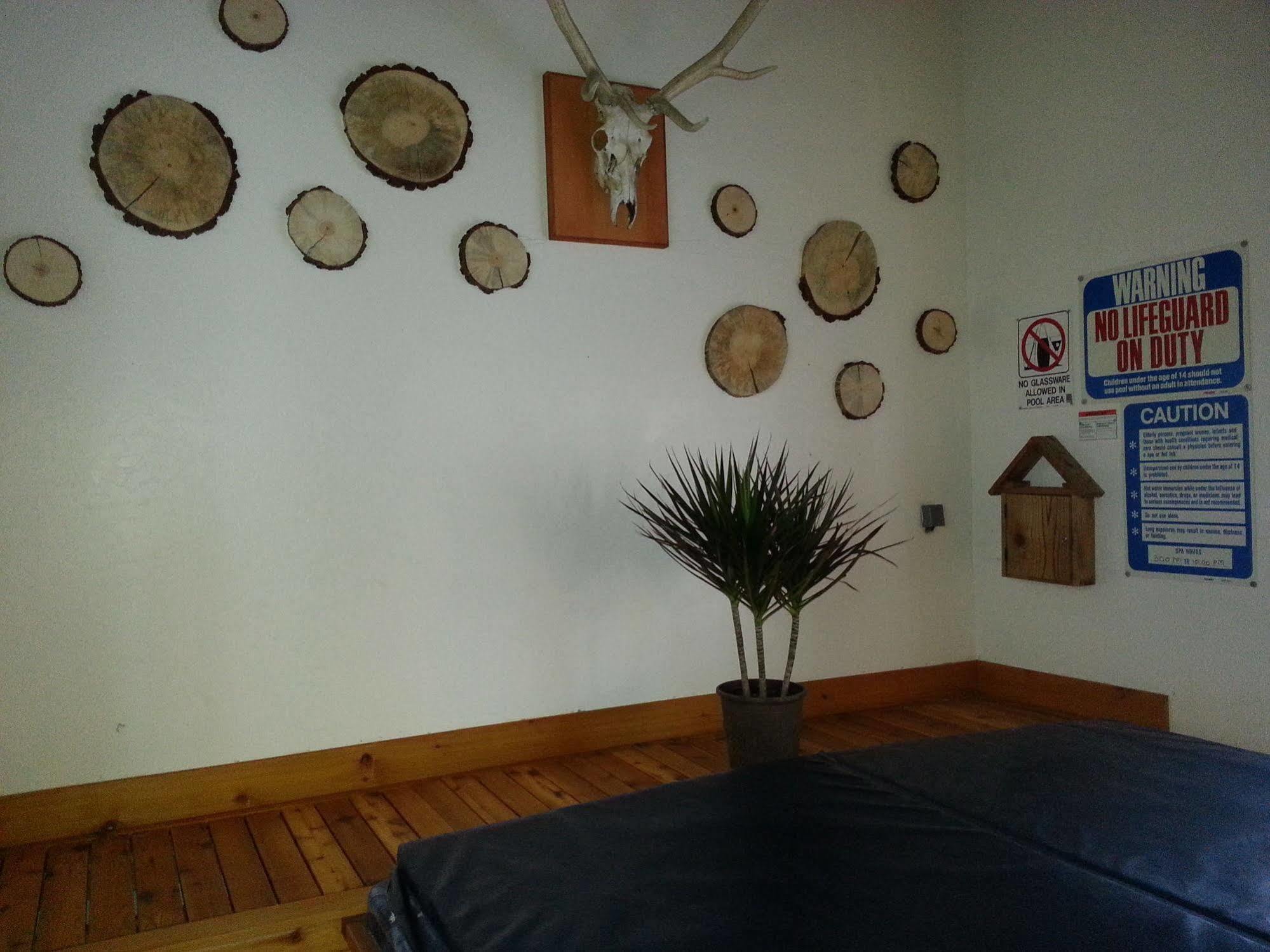 Innsbruck Lodge แมมมอธ เลกส์ ภายนอก รูปภาพ